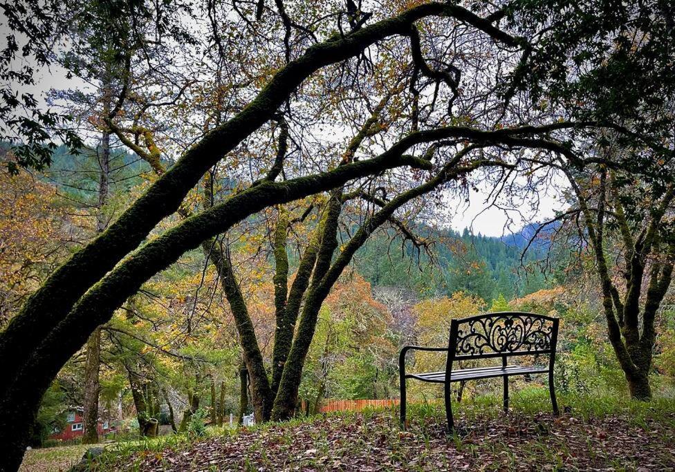 Avenue Of The Giants Pepperwood Place Miranda Экстерьер фото